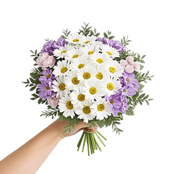 Ivory Garden Grace