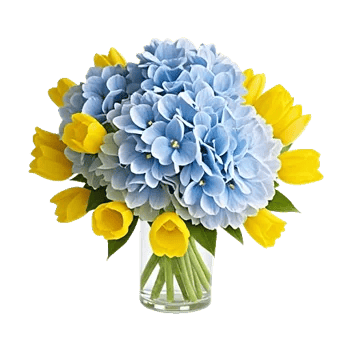 Azure Sky Blooms