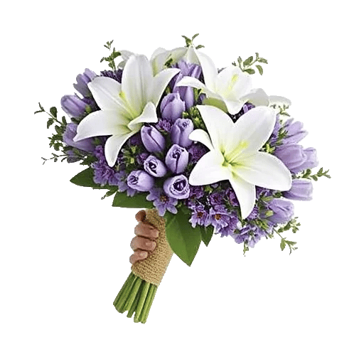 Blossom Petal Serenity