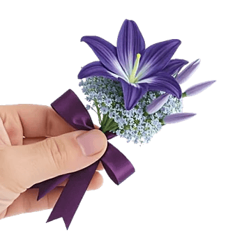 Blossom Petal Serenity