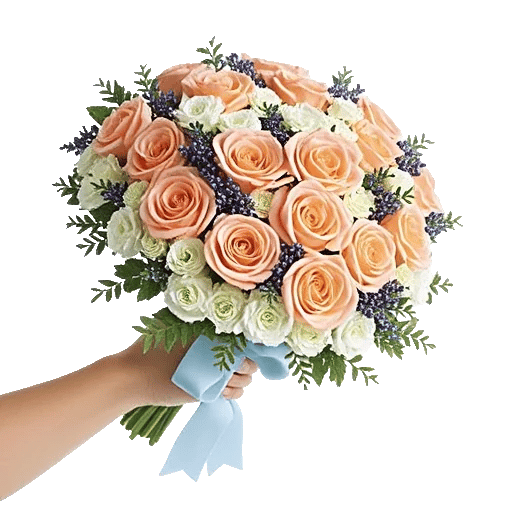 Blushing Rose Symphony