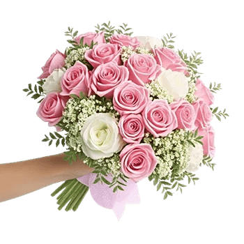 Pastel Pink Roses
