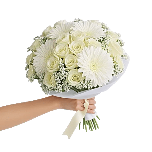 Ivory Garden Grace