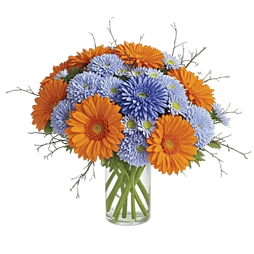 Radiant Bloom Cascade
