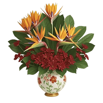 Tropical Sunflower Burst