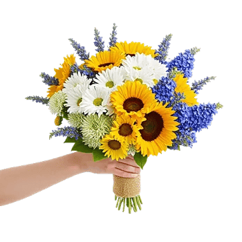 Blossom Harmony Display