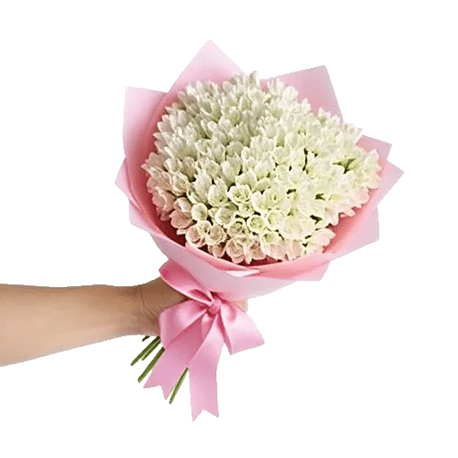 Ivory Blossom Radiance