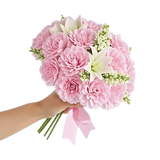 Pastel Pink Roses