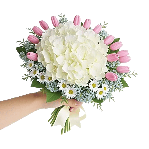 Serene Petal Harmony