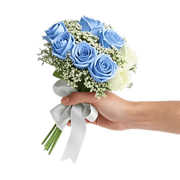 Elegant Blue Roses