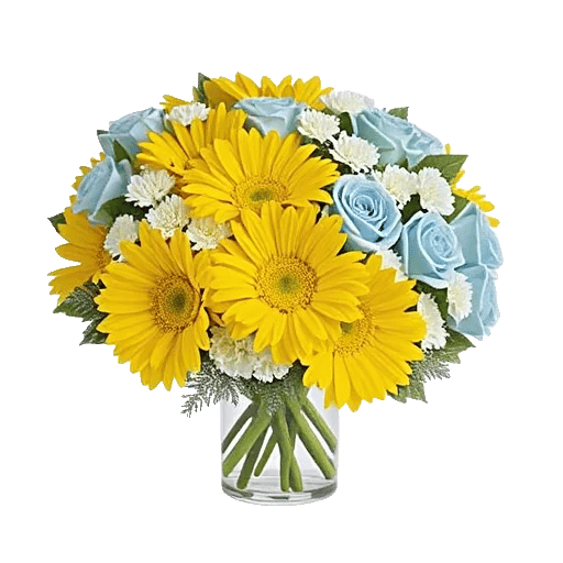 Enchanting Daisy Garden