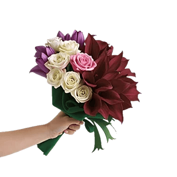 Blushing Rose Symphony