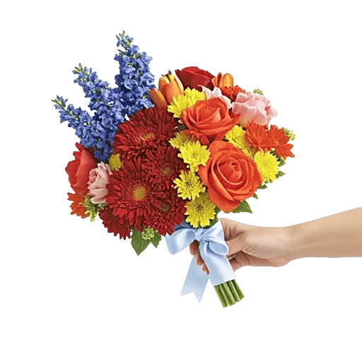 Blushing Rose Symphony