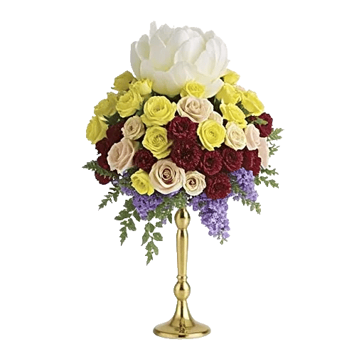 Ivory Blossom Radiance