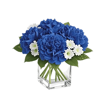 Elegant Blue Roses