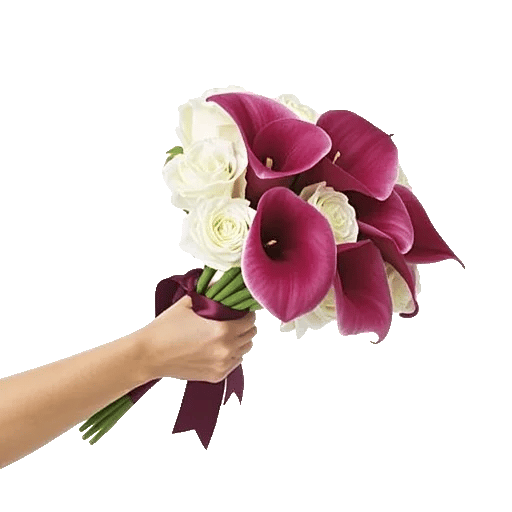 Elegant Calla Lilies