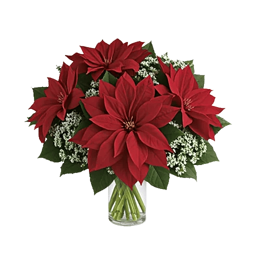 Crimson Blossom Harmony