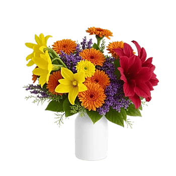 Petal Radiance Bliss