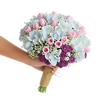 Serene Petal Harmony