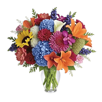 Ivory Blossom Radiance