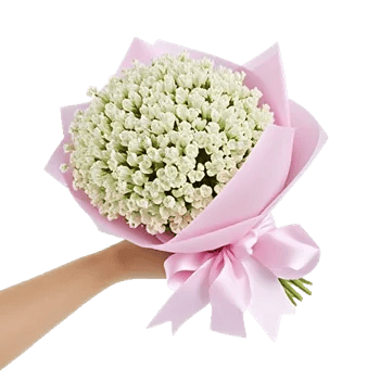 Blossom Radiant Whisper