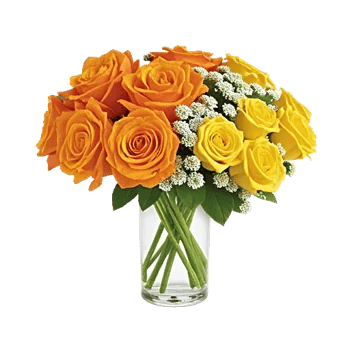 Radiant Rose Symphony