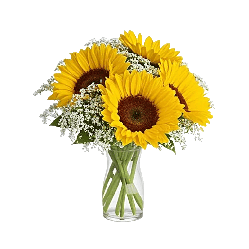 Golden Bloom Radiance