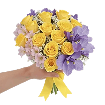 Ivory Blossom Radiance