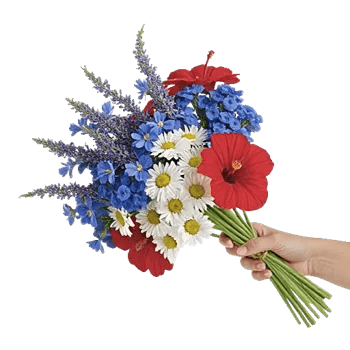 Blossom Petal Serenity