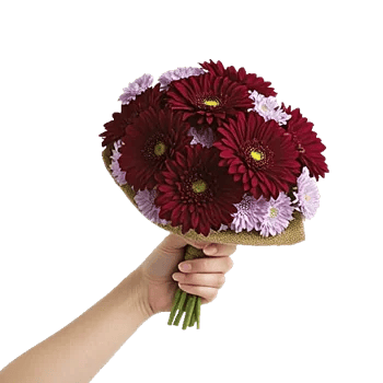 Crimson Blossom Harmony