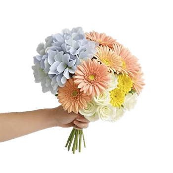 Serene Petal Harmony