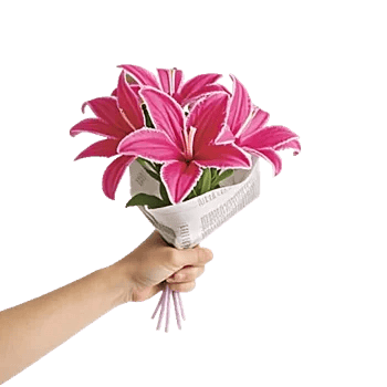 Blossom Petal Serenity