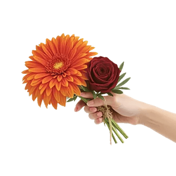 Radiant Bloom Cascade