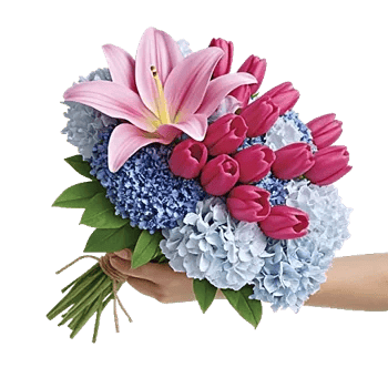 Blossom Harmony Display