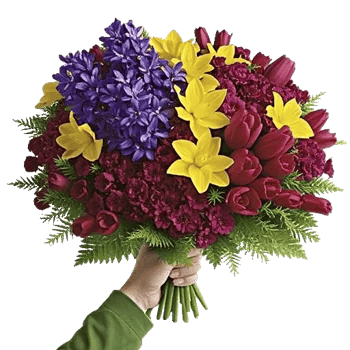 Petal Radiance Bliss