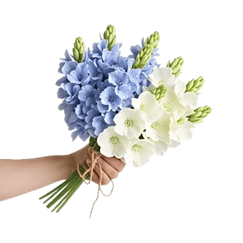 Sapphire Bloom Whisper