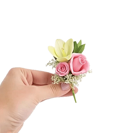 Elegant Calla Lilies