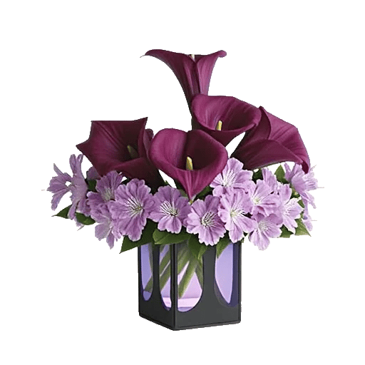 Elegant Calla Lilies