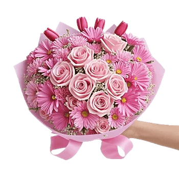 Pastel Pink Roses