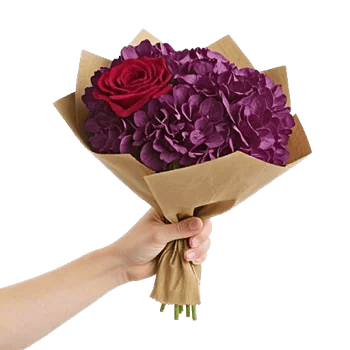 Crimson Rose Elegance