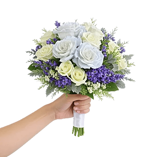 Serene Petal Harmony