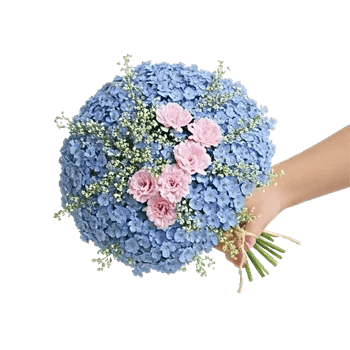 Blossom Petal Serenity