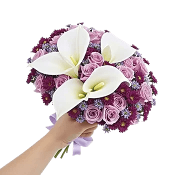 Elegant Calla Lilies