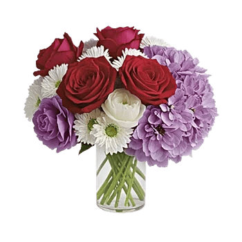 Crimson Blossom Harmony