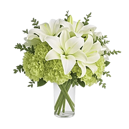 Ivory Blossom Radiance