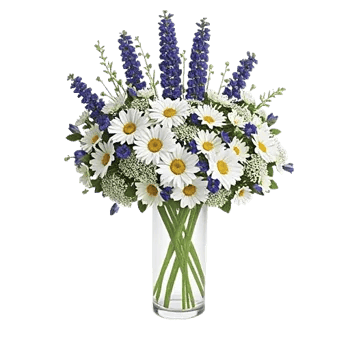 Daisy Meadow Spread
