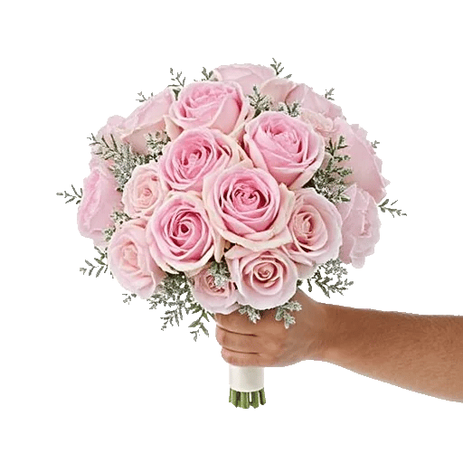 Pastel Pink Roses