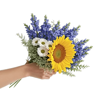 Twinkling Sunflower Dance