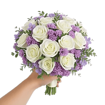 Blushing Rose Symphony