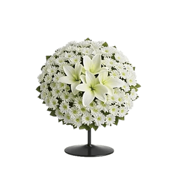 Ivory Garden Grace